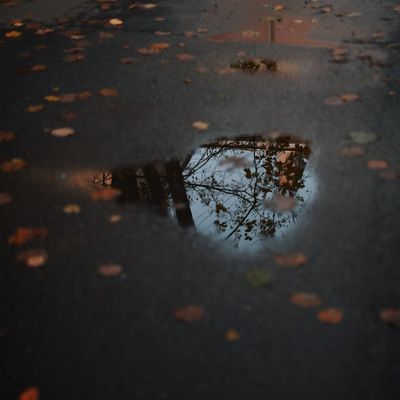 Soft light falling on a textured surface in a quiet studio.